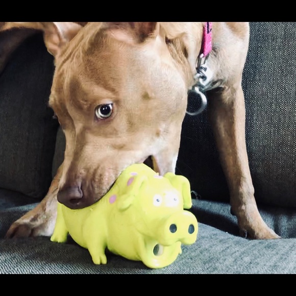 Meet your Posher, Sarah - Picture 1 of 6